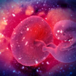 Fluid Resonance: Lessons from the embryo for Healing, Health, and Harmony